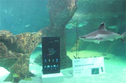 telefonia_sony_xperia-z_aquarium