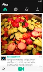 app_vine_windowsphone