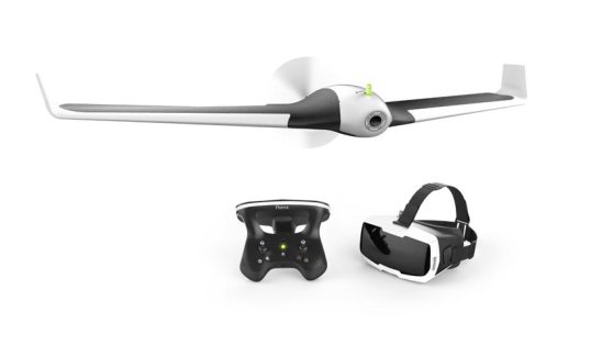 parrot_disco