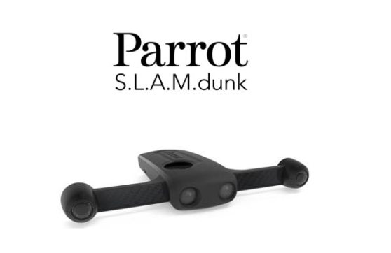 parrot_slam-dunk