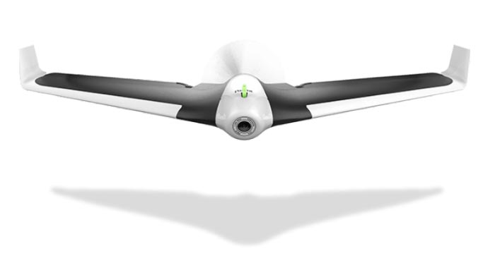 parrot_disco