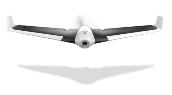parrot_disco