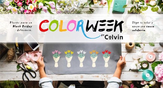 colvin_colorweek.jpg