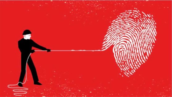 varios_hocelot_robo-identidad