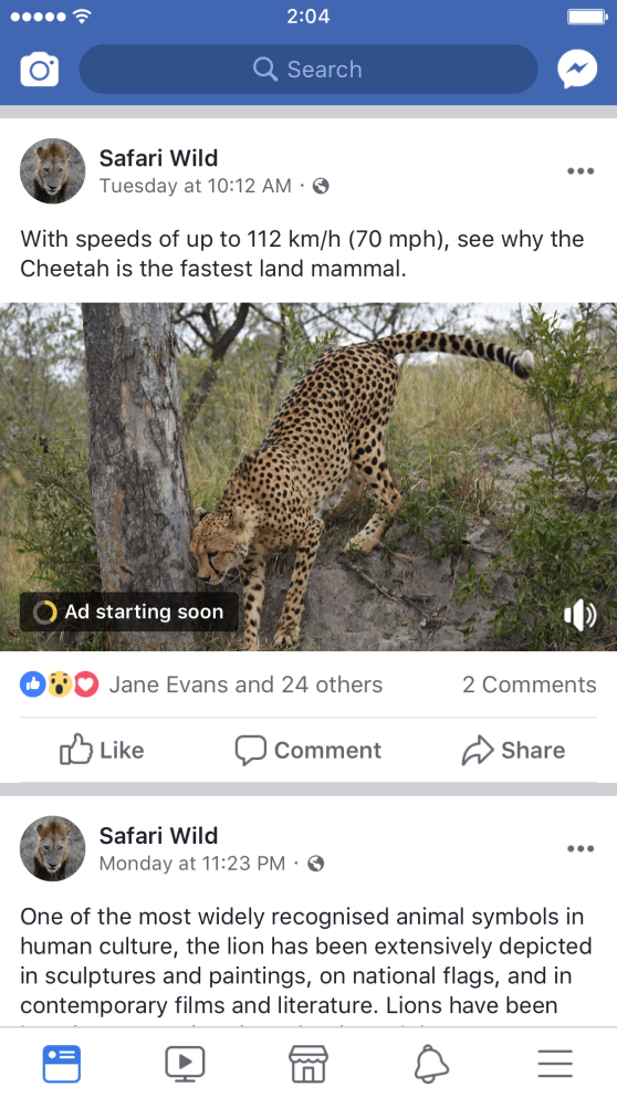 42360276_255439831842907_5739749171447988224_n