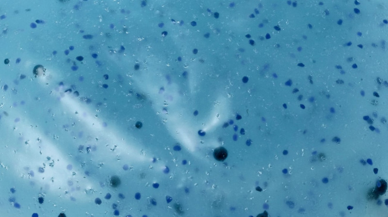 varios_tapp-water_plasticos