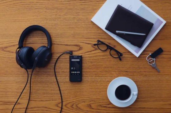 sony_walkman-nwzx507.jpg