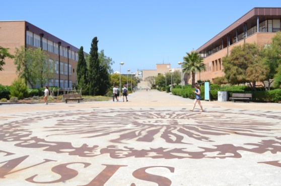 microsoft_universidad-almeria.jpg