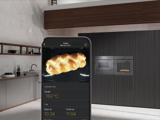 varios_miele_horno-app