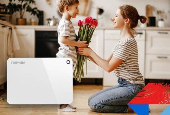 varios_toshiba_disco-duro-externo